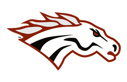 Independence High School Baseball
